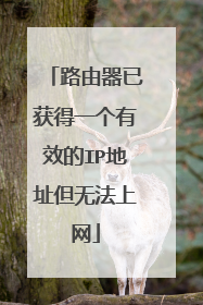 路由器已获得一个有效的IP地址但无法上网