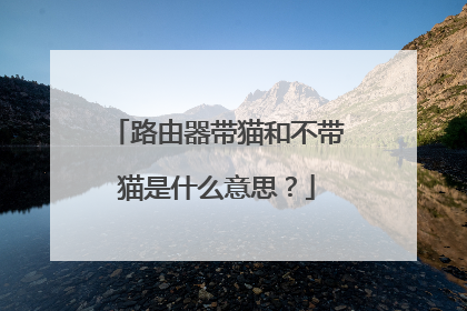 路由器带猫和不带猫是什么意思?