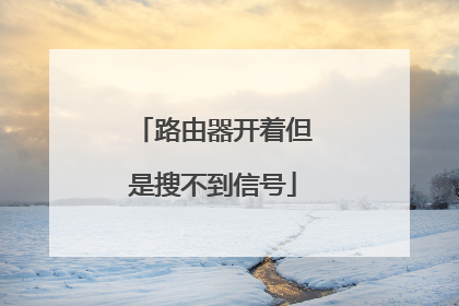 路由器开着但是搜不到信号