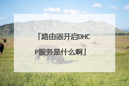 路由器开启DHCP服务是什么啊