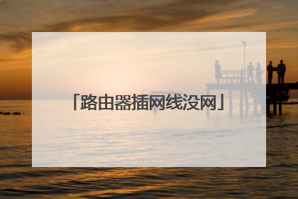 路由器插网线没网