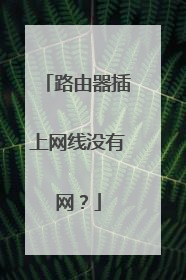 路由器插上网线没有网?
