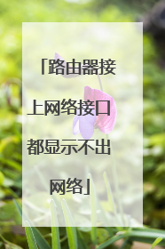 路由器接上网络接口都显示不出网络