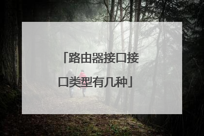 路由器接口接口类型有几种