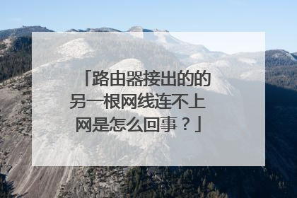 路由器接出的的另一根网线连不上网是怎么回事？