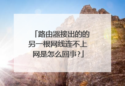 路由器接出的的另一根网线连不上网是怎么回事?