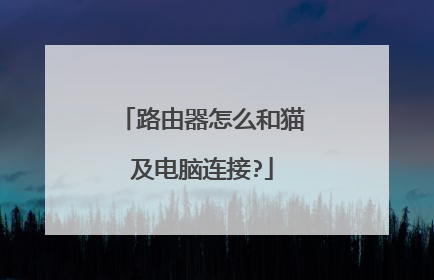路由器怎么和猫及电脑连接?