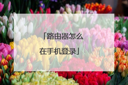 路由器怎么在手机登录