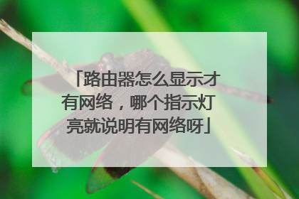 路由器怎么显示才有网络，哪个指示灯亮就说明有网络呀