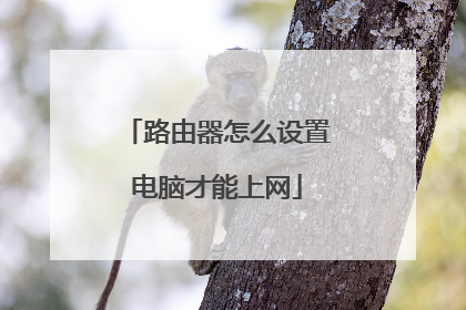 路由器怎么设置电脑才能上网