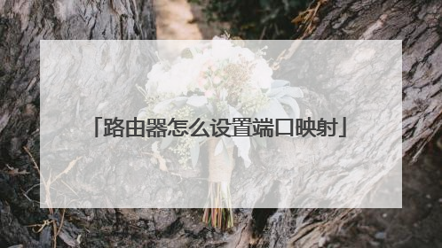 路由器怎么设置端口映射