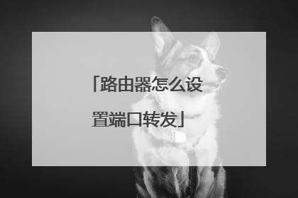 路由器怎么设置端口转发