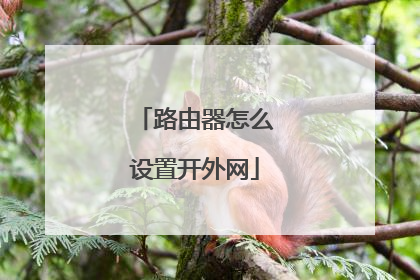 路由器怎么设置开外网
