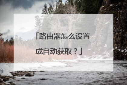 路由器怎么设置成自动获取?