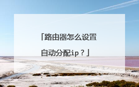 路由器怎么设置自动分配ip?