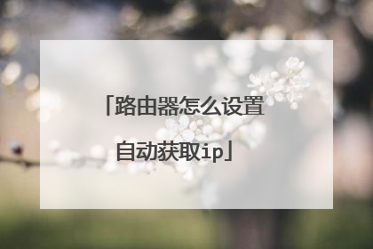 路由器怎么设置自动获取ip