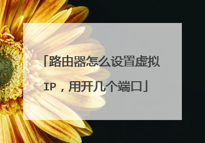 路由器怎么设置虚拟IP，用开几个端口
