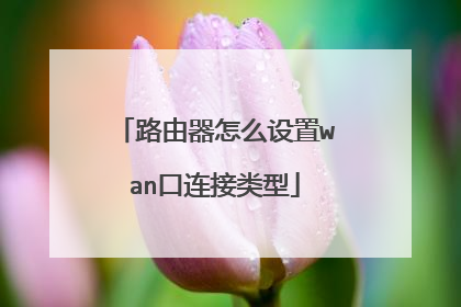 路由器怎么设置wan口连接类型