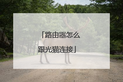 路由器怎么跟光猫连接