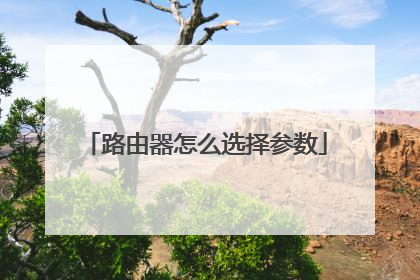 路由器怎么选择参数