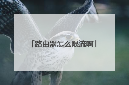 路由器怎么限流啊