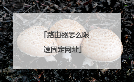 路由器怎么限速固定网址