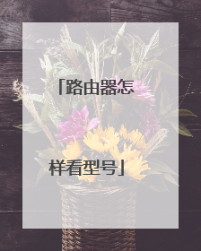 路由器怎样看型号