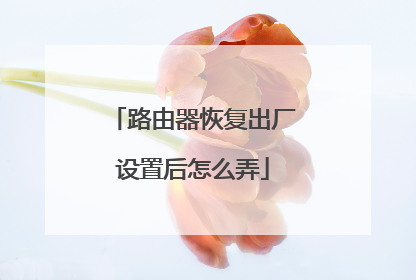 路由器恢复出厂设置后怎么弄