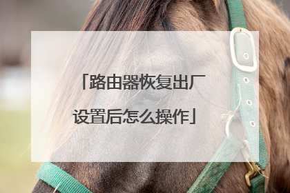 路由器恢复出厂设置后怎么操作