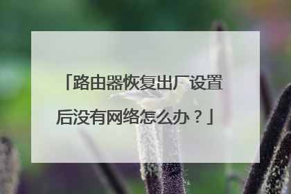 路由器恢复出厂设置后没有网络怎么办？