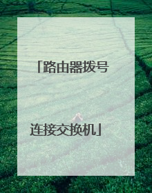 路由器拨号连接交换机