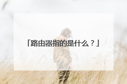 路由器指的是什么？