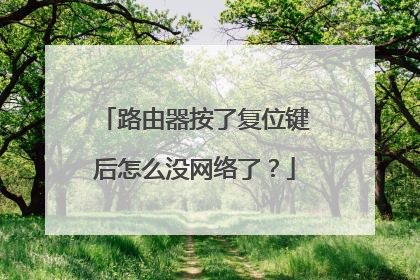 路由器按了复位键后怎么没网络了？