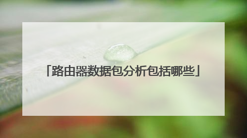 路由器数据包分析包括哪些