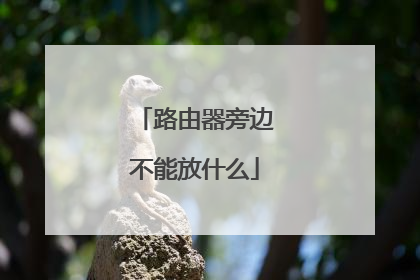 路由器旁边不能放什么