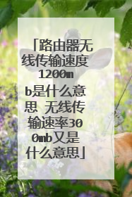 路由器无线传输速度1200mb是什么意思 无线传输速率300mb又是什么意思