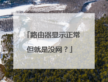 路由器显示正常但就是没网？