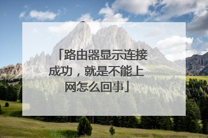 路由器显示连接成功,就是不能上网怎么回事