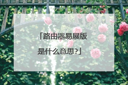 路由器易展版是什么意思?