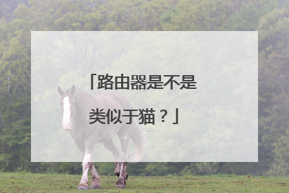 路由器是不是类似于猫？