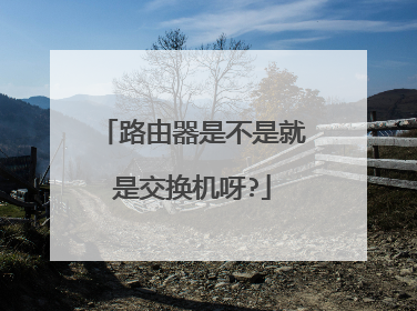 路由器是不是就是交换机呀?