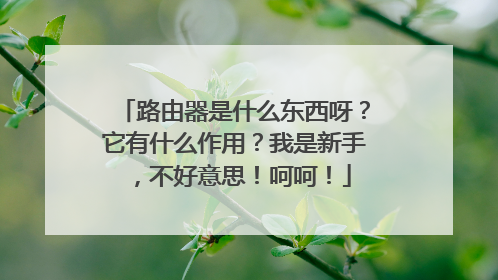 路由器是什么东西呀?它有什么作用?我是新手,不好意思!呵呵!