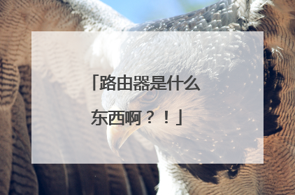 路由器是什么东西啊?!
