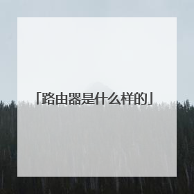 路由器是什么样的