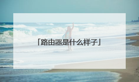 路由器是什么样子