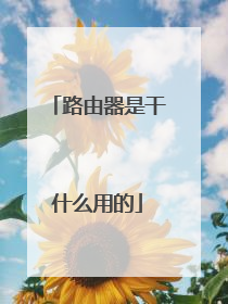 路由器是干什么用的