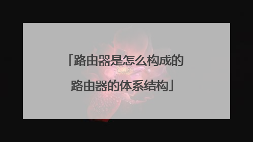 路由器是怎么构成的 路由器的体系结构