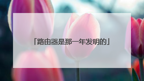 路由器是那一年发明的