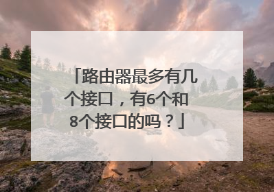路由器最多有几个接口，有6个和8个接口的吗？