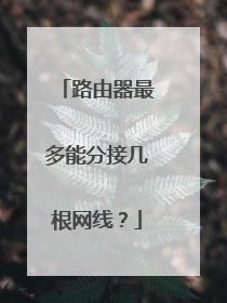 路由器最多能分接几根网线?